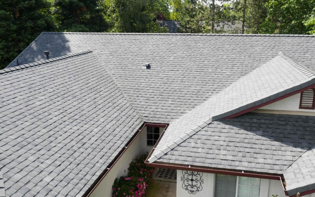 Premier Radiance® Cool Pewter Gray